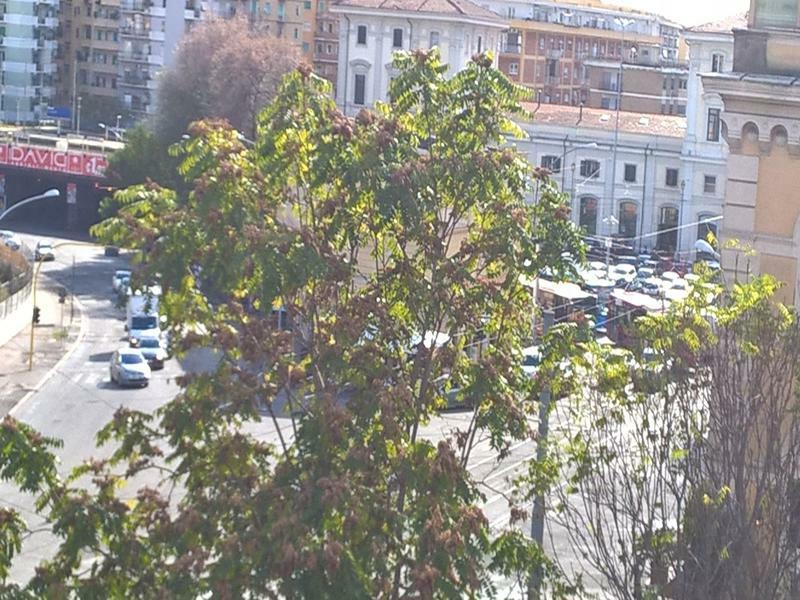 Elegance Scalini Di Trastevere Rome Bagian luar foto